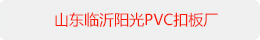 ɽPVC۰峧